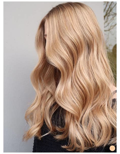 Honey Golden Blonde Hair Golden Blonde Hair Balayage Hair Warm