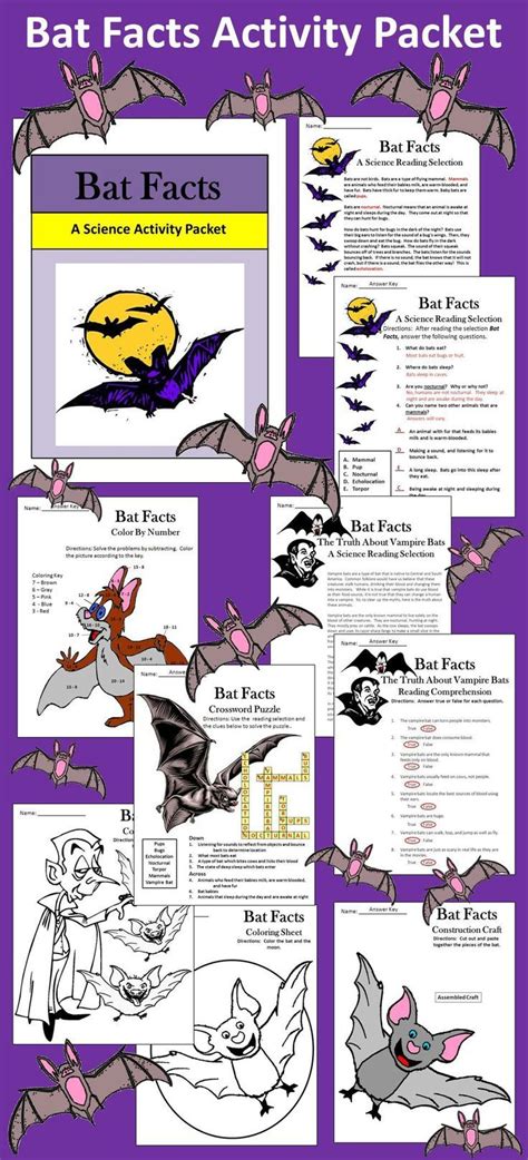 Bat Facts Printable - Printable Word Searches