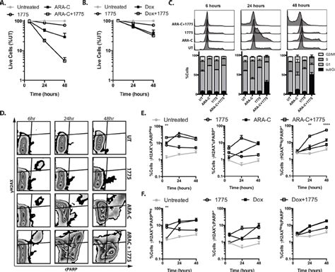 AZD1775 Promotes DNA Damage And Apoptosis With Cytarabine But Not