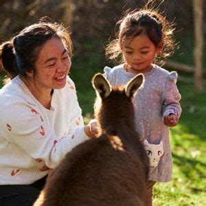 Moonlit Sanctuary - The best place to see Aussie animals!