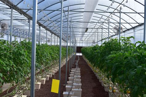 Ascension Islands Hydroponics Lab Is Revitalizing Life On The Volcanic