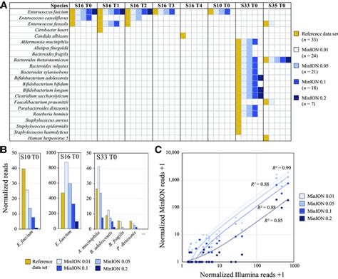 Pathogen detection rate of MinION sequencing. A: 22 species identified... | Download Scientific ...