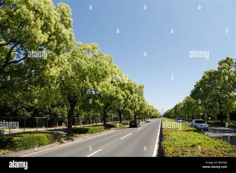 Kumamoto hi-res stock photography and images - Alamy