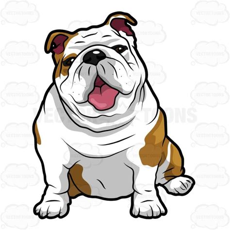 Wrinkly English Bulldog Sitting With Its Mouth Open Cartoon Clipart