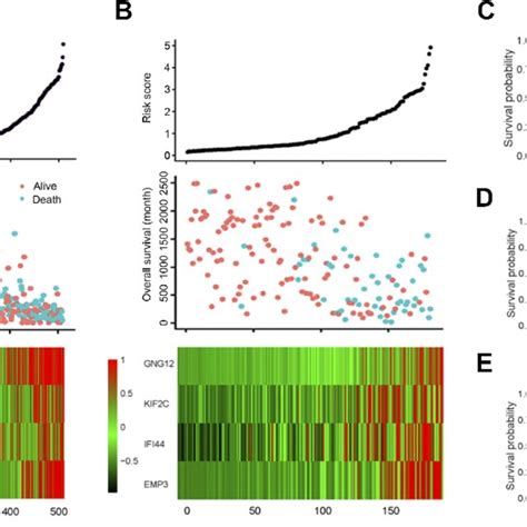 Survival Analysis Based On 4 Gene Signature A The Download