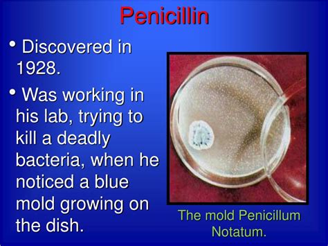 Ppt Alexander Fleming Inventor Of Penicillin Powerpoint Presentation