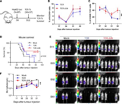 Figure From Tcr T Cells Overexpressing C Jun Have Better