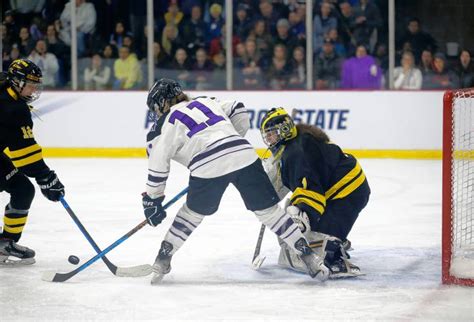 The Recorder Womens Hockey Gustavus Adolphus Nets Winning Goal In