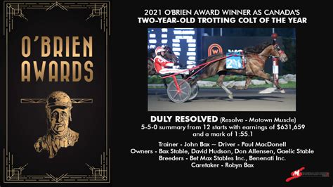 2021 O’brien Awards Winners Gallery Standardbred Canada