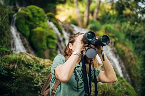 Wildlife Watching In The Stelvio National Park With Guide