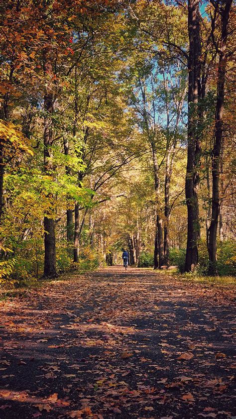 Fall Foliage Report – October 27, 2022