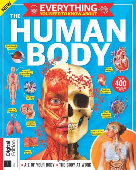 Buy Everything You Need To Know About The Human Body From MagazinesDirect