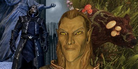 The Best Skyrim Mods For High Elves