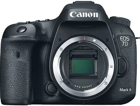 Canon Eos 7d Mark Ii Shutter Count