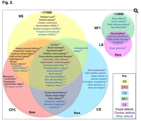 Resources The Rasopathies Network