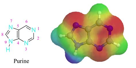 249 Heterocyclic Amines Chemistry Libretexts