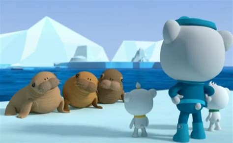 The Walrus Pups | Octonauts Wiki | FANDOM powered by Wikia