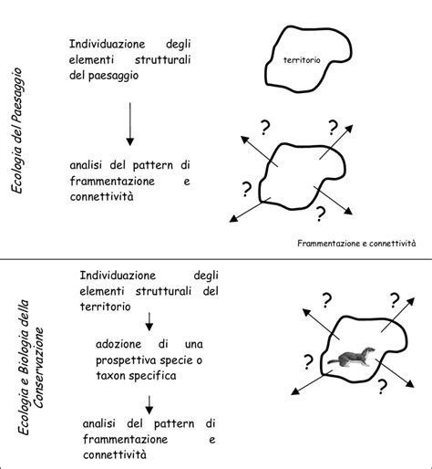 Approcci Metodologici Per L Identificazione Dei Contenuti Di Una Rete