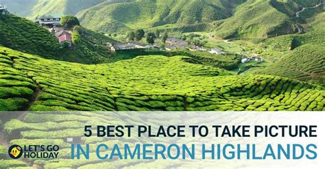 5 Best Place To Take Picture In Cameron Highlands © Letsgoholidaymy