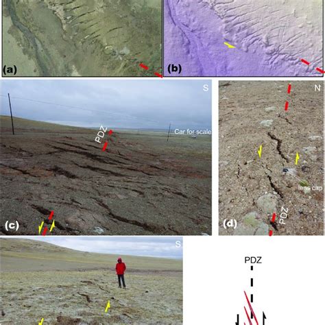 Drone Images Showing The Characteristics Of Coseismic Surface Rupture