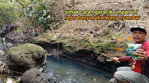 Umpan Wader Gacor Mancing Ikan Wader Dengan Umpan Yang Tidak Biasa