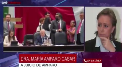 ¿qué Pretende Modificar La Reforma Al Tribunal Electoral María Amparo Casar José Cárdenas