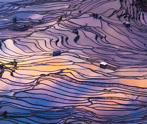 Yuanyang China – Bing Wallpaper Download