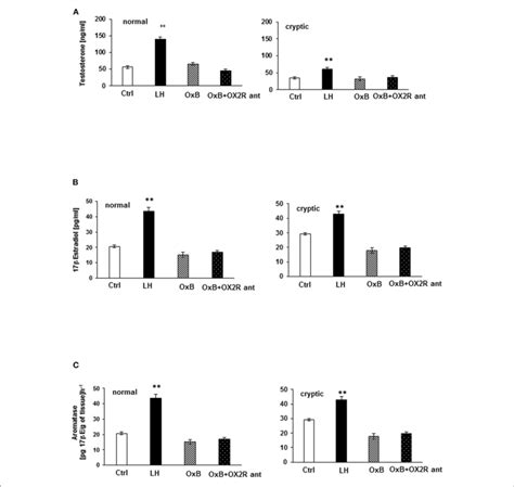 In Vitro Testosterone T And 17β Estrogen 17βe Secretion Ab And