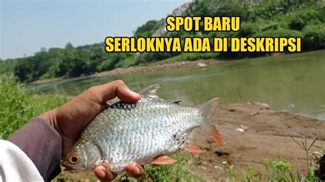 Mencoba Mancing Tawes Di Spot Yang Jarang Di Jamah Orang Part