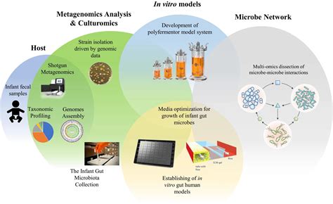 Analyzing Microbiomes Microbiomes Health And The Environment