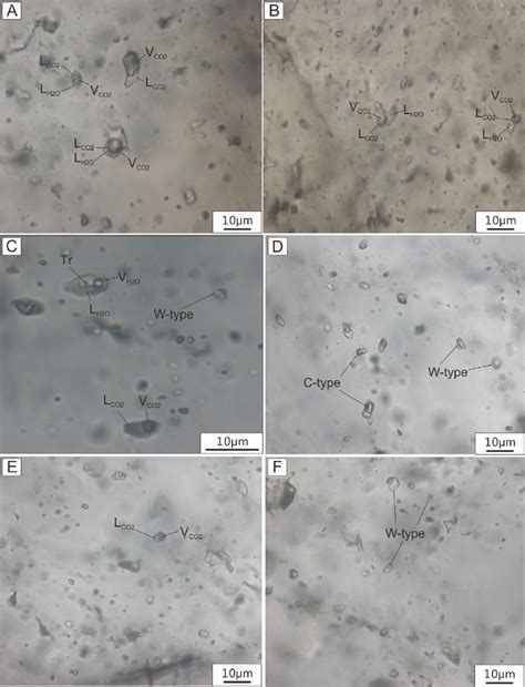 Photomicrographs Of Fluid Inclusions From The Eryiling Gold Deposit