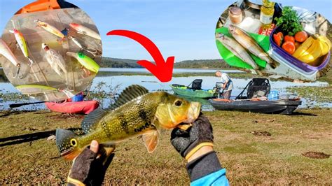 Sele O De Iscas Para Pescar Tucunar No Frio Fizemos Peixe Frito Na