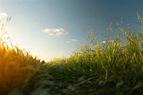 Countryside Photos, Download The BEST Free Countryside Stock Photos ...