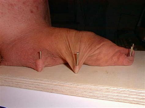 Nailing My Cock To Board Nude Pics XHamster