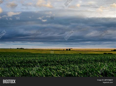 Cornfield Picturesque Image And Photo Free Trial Bigstock