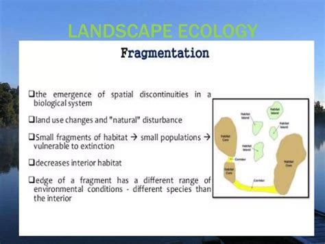 Ecosystem Restoration Restore Ecosystem Ppt