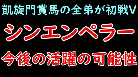 シンエンペラーの新馬戦勝利について！凱旋門賞馬ソットサスの全弟が好内容で勝ち上がり！【pog23 24】 Youtube