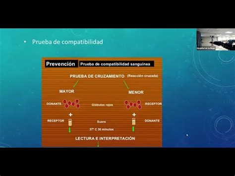 Prueba De Compatibilidad Youtube