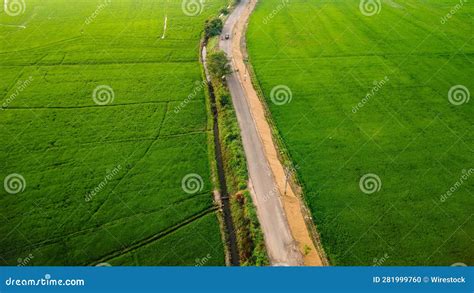 Aerial View Of A Rural Road Winding Through A Lush Green Paddy Field In