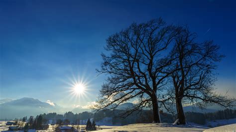 Baggrunde Vinter Sne Sol Solskin Allgau Tr Panorama