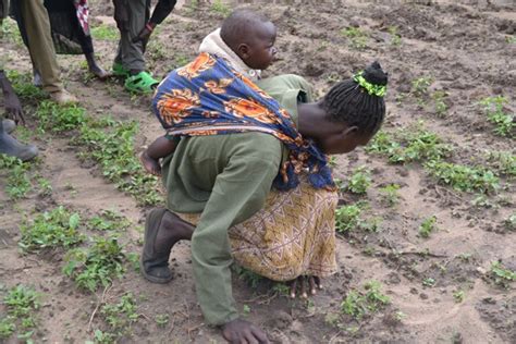 Womens Contribution In Agriculture Oaic