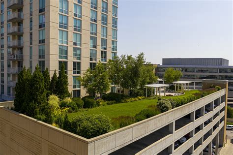 Green Roofs — Ecogardens