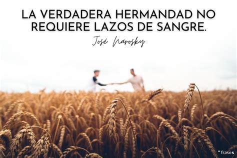 Frases De Hermandad Frases De Fraternidad Frases Hermandad