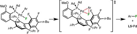 The Evolution Of Pd Pdii Catalyzed Aromatic Fluorination Accounts Of