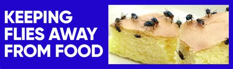 Keeping Flies Away From Food Agserv Pest Control Supplies