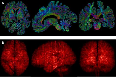 Uva Scientists Create Highly Detailed D Reconstruction Of A Human