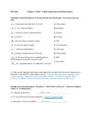 Bio Ch 7 And Ch 8 Cell Respiration And Photosynthesis Docx BSC2010