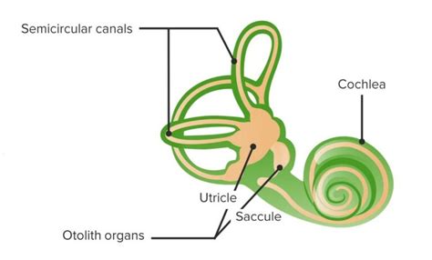 Vértigo Concise Medical Knowledge