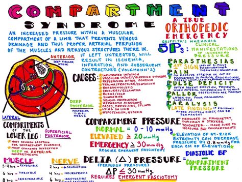 Infographic: Compartment Syndrome