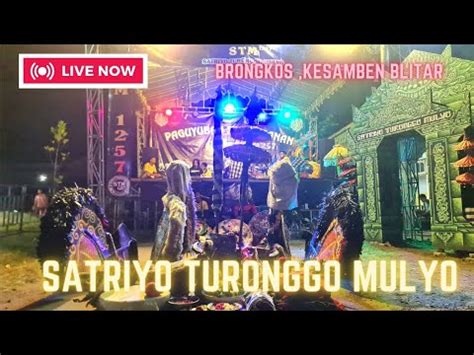 Live Jaranan STMSATRIYO TURONGGO MULYOGGS AUDIOBrongkos